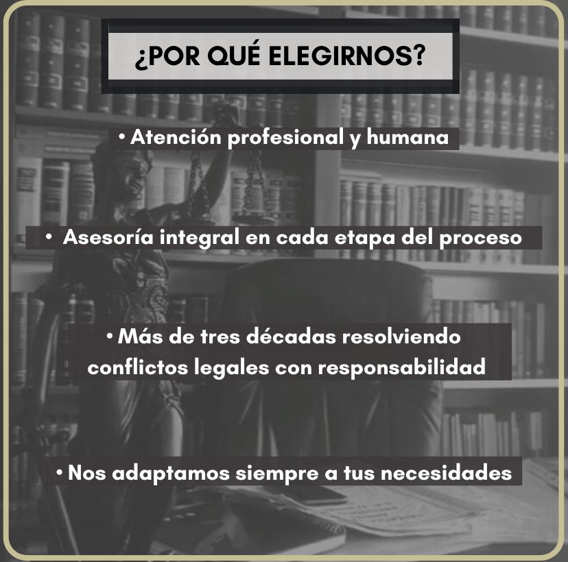 whatsapp image 2025 11 12 at 20.45.37 (1)